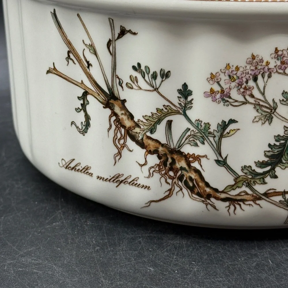 Vintage Villeroy & Boch‎ Botanical 9